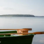 laivu noma